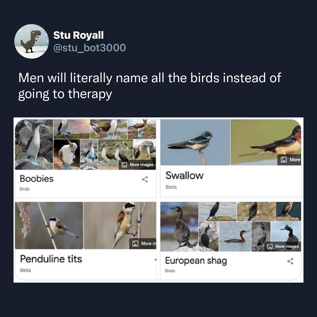 Image: https://us.v-cdn.net/5017260/uploads/editor/89/05coggnktx48.jpeg