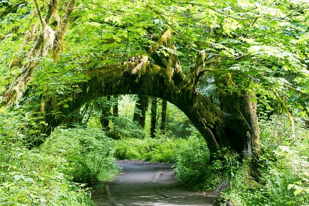 Image: https://us.v-cdn.net/5017260/uploads/editor/8i/xvvpizxsip9d.jpg