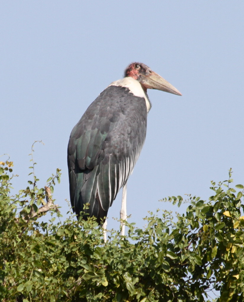 Image: https://us.v-cdn.net/5017260/uploads/editor/8v/1g4r5r9yahkb.jpg