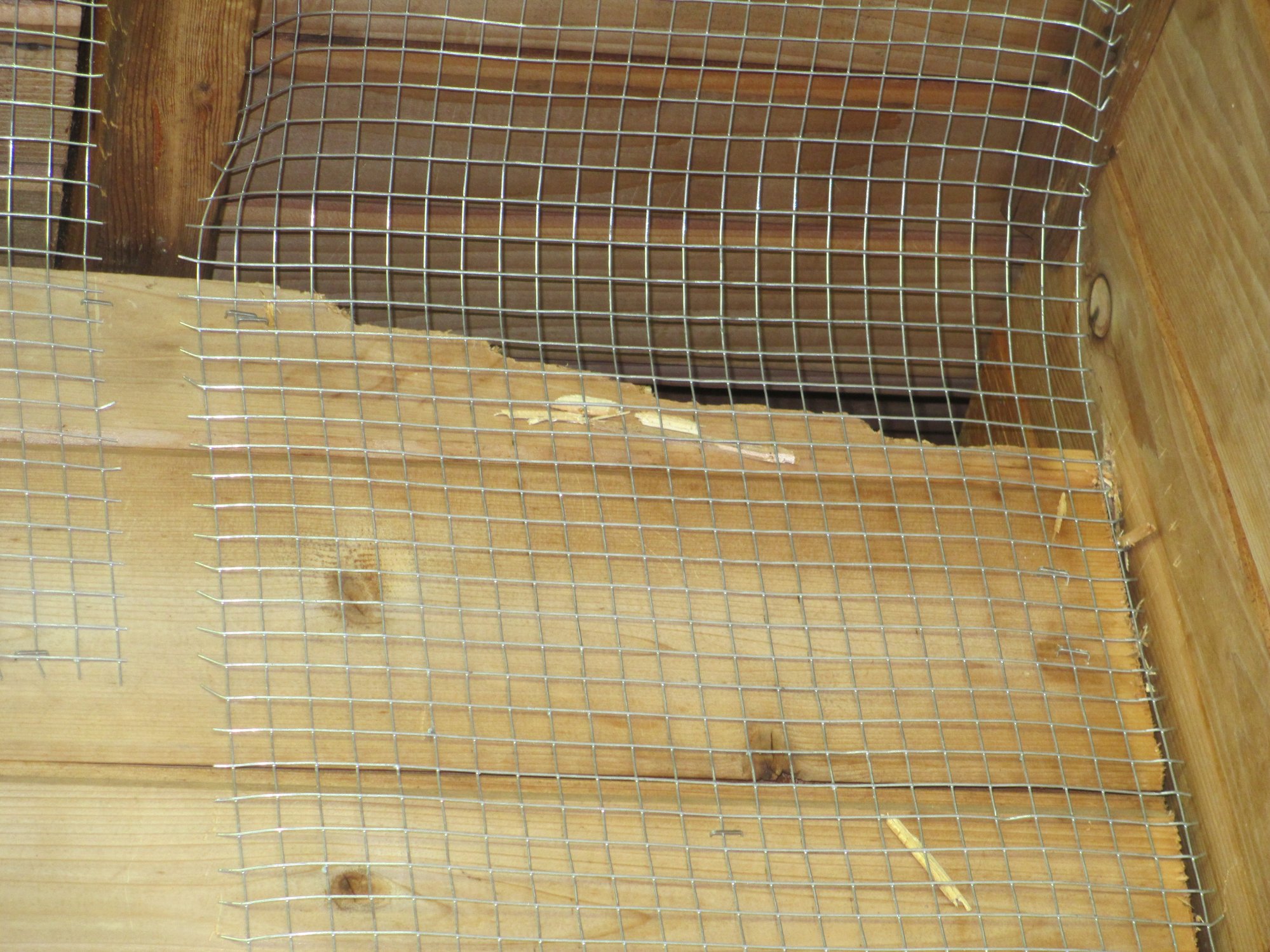 Image: https://us.v-cdn.net/5017260/uploads/editor/8v/91ufngyo5lep.jpg