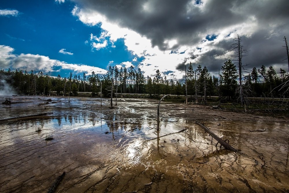 Image: https://us.v-cdn.net/5017260/uploads/editor/8v/aiqxzmn5b0r4.jpg