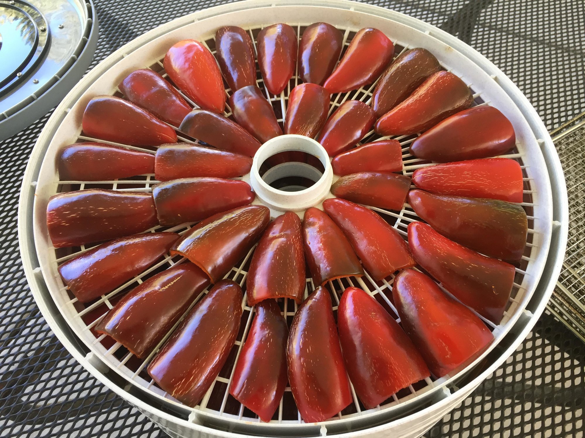 Image: https://us.v-cdn.net/5017260/uploads/editor/8y/bmvsikno4bue.jpg