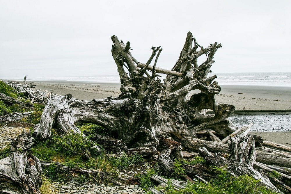 Image: https://us.v-cdn.net/5017260/uploads/editor/9a/dxd9qk59nfmg.jpg