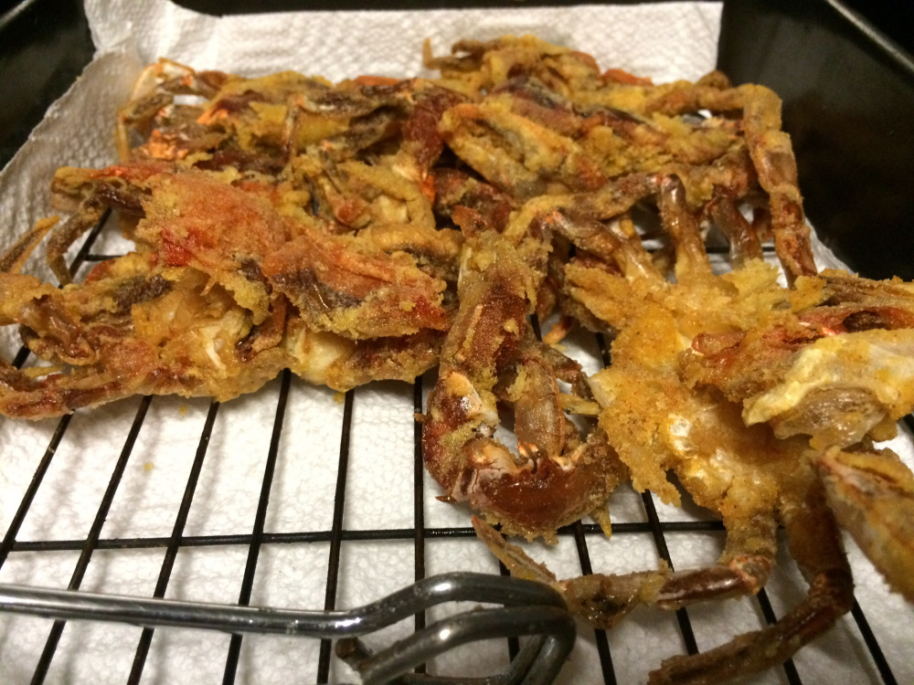 Image: https://us.v-cdn.net/5017260/uploads/editor/9e/zgl0rny63p2k.jpeg