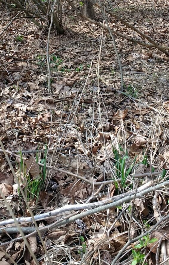 Image: https://us.v-cdn.net/5017260/uploads/editor/9p/gyozpqg99j1n.jpg