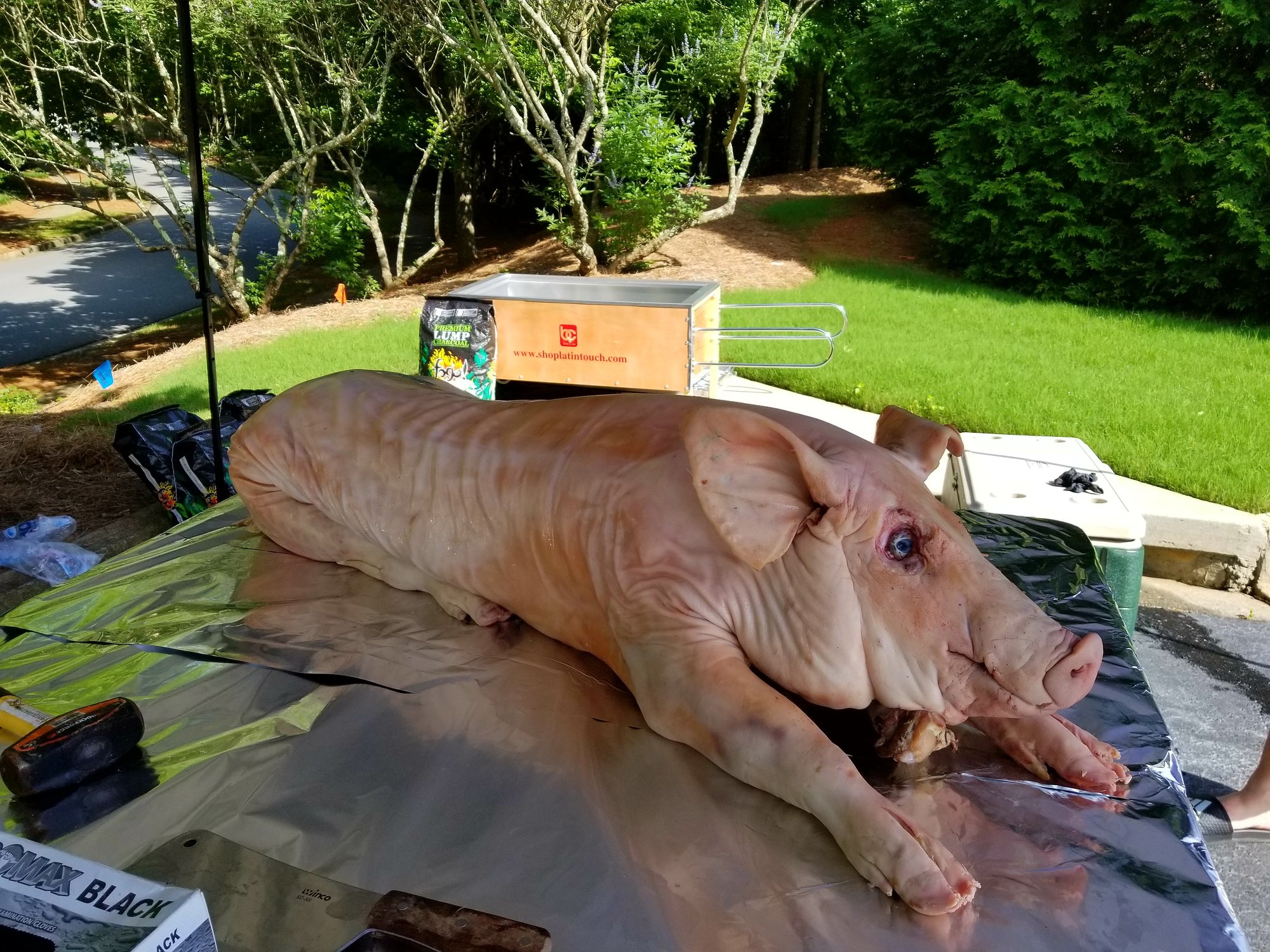 Image: https://us.v-cdn.net/5017260/uploads/editor/9y/7y0c5nr3jc21.jpg