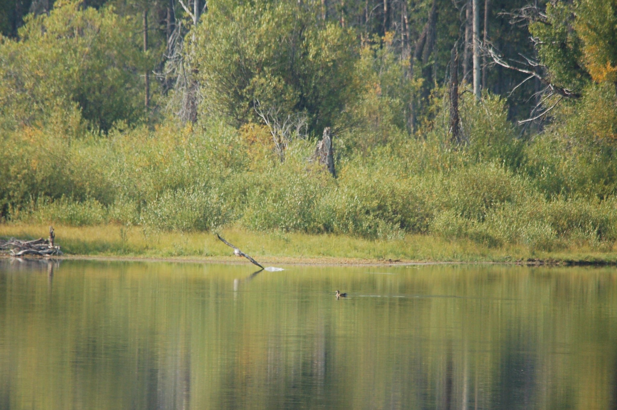 Image: https://us.v-cdn.net/5017260/uploads/editor/ac/4dydlicpaxl3.jpg