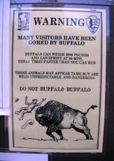 Image: https://us.v-cdn.net/5017260/uploads/editor/ag/pef26bfhmtrv.jpg