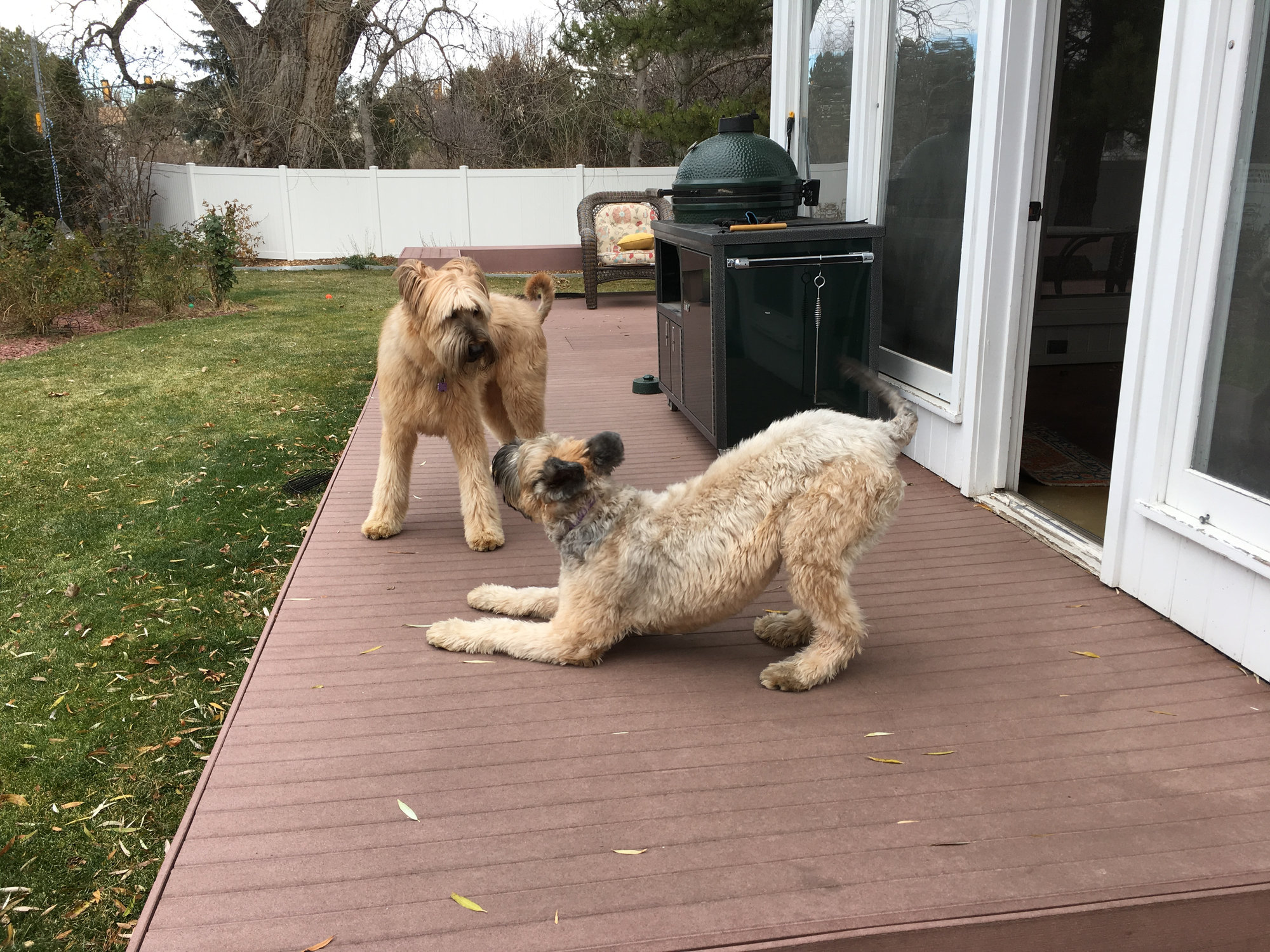 Image: https://us.v-cdn.net/5017260/uploads/editor/ar/s7780xnnvhg3.jpg