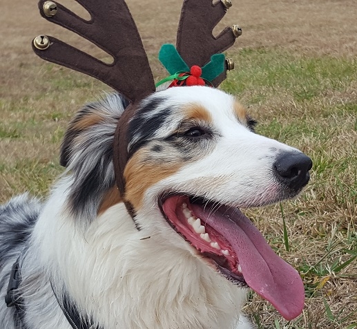 Image: https://us.v-cdn.net/5017260/uploads/editor/at/4vxsi2q86hlu.jpg