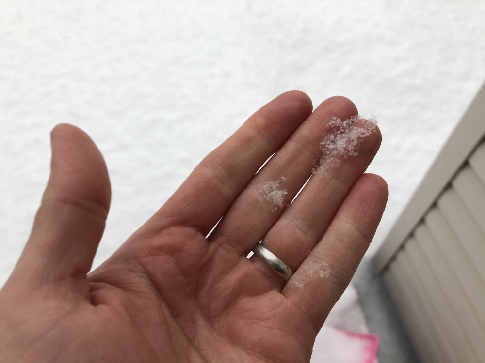 Image: https://us.v-cdn.net/5017260/uploads/editor/b1/fltc01vizipv.jpeg