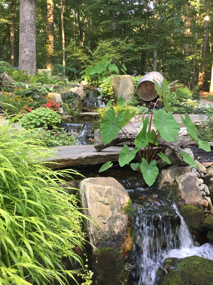 Image: https://us.v-cdn.net/5017260/uploads/editor/b3/31uwan69tkbh.jpeg