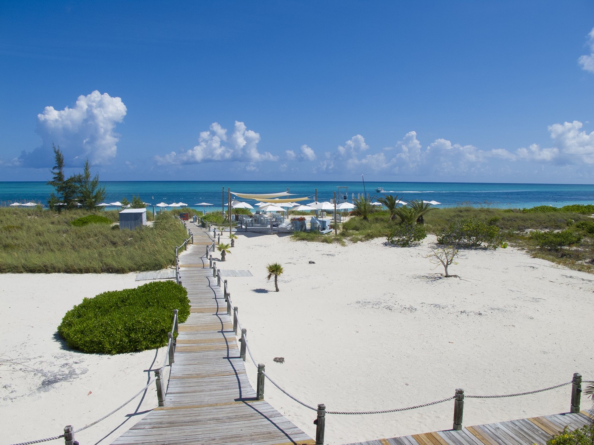 Image: https://us.v-cdn.net/5017260/uploads/editor/b7/30pp2frhnt0i.jpg