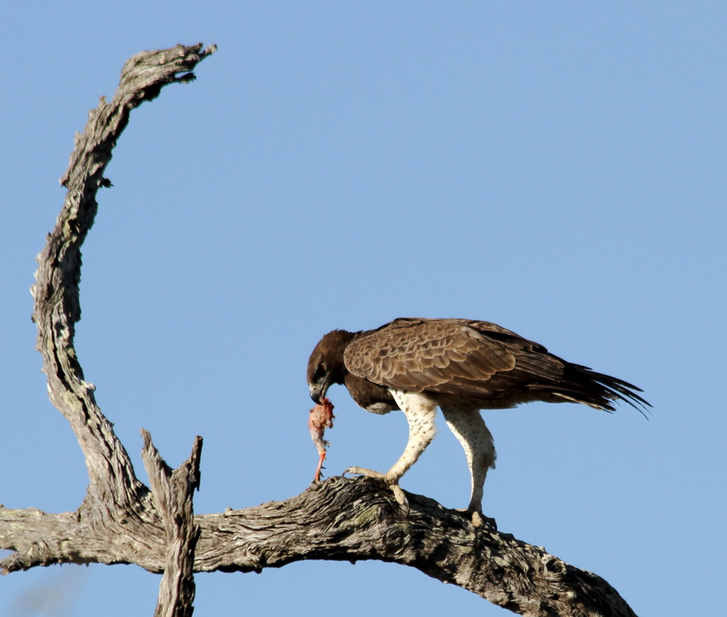 Image: https://us.v-cdn.net/5017260/uploads/editor/bg/izs5qauz8i4m.jpg