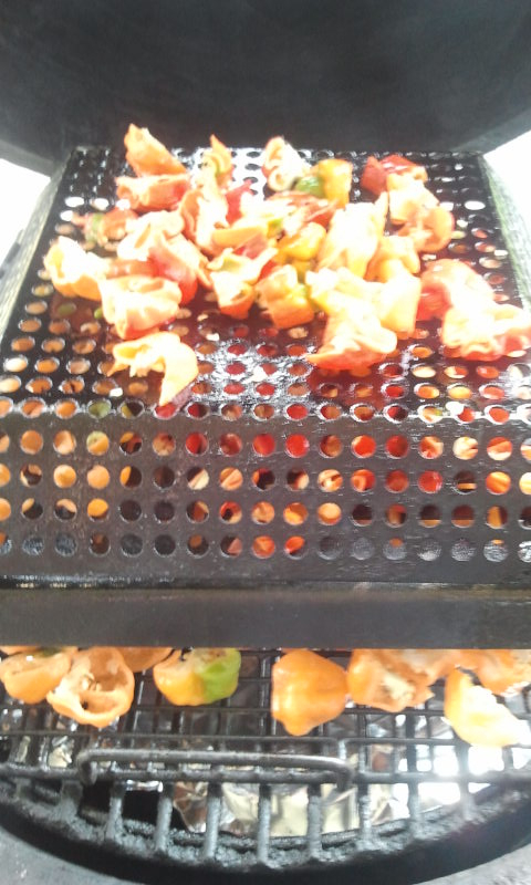 Image: https://us.v-cdn.net/5017260/uploads/editor/bl/f7p36mp9tzp9.jpg