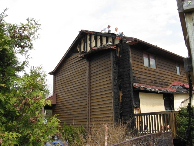 Image: https://us.v-cdn.net/5017260/uploads/editor/bt/3n50mn9ihmpc.jpg