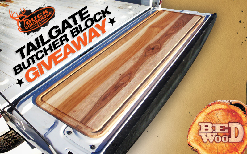 Image: https://us.v-cdn.net/5017260/uploads/editor/bu/5ig4u6mrhvfz.jpg