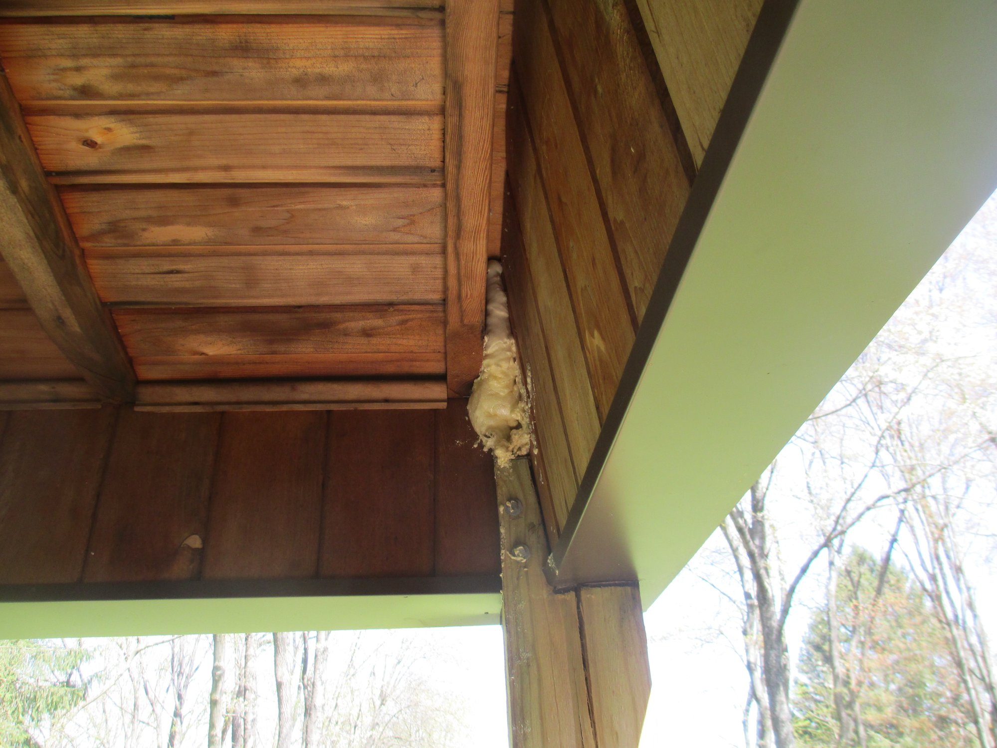 Image: https://us.v-cdn.net/5017260/uploads/editor/ca/xi7c5czzoyrq.jpg