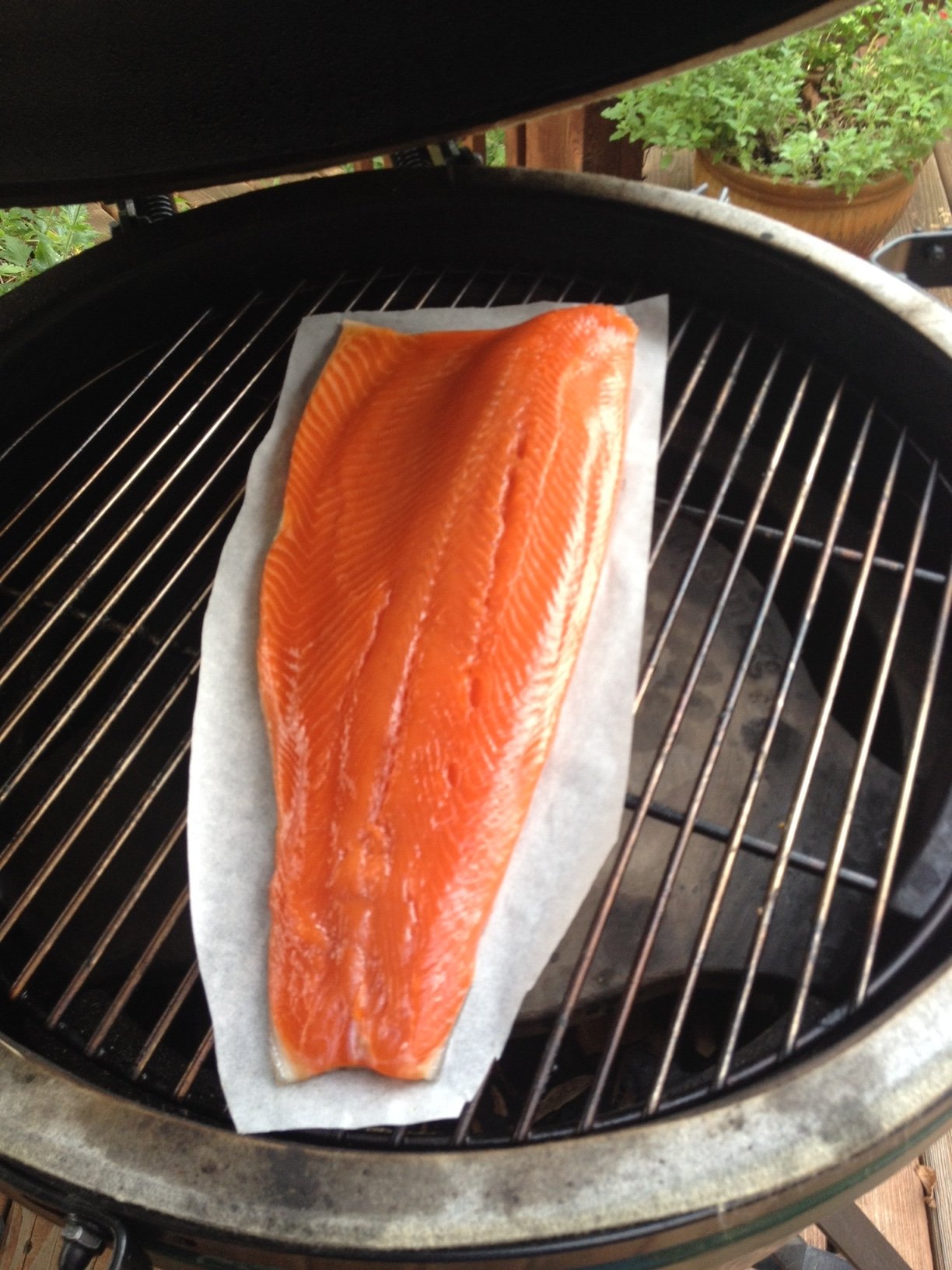 Image: https://us.v-cdn.net/5017260/uploads/editor/cb/1j8zsmunqn8g.jpg