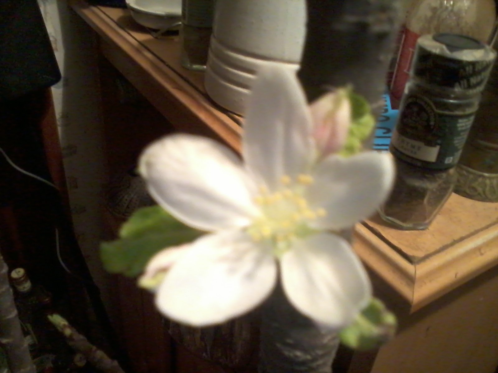 Image: https://us.v-cdn.net/5017260/uploads/editor/cm/q89fp35skmet.jpg