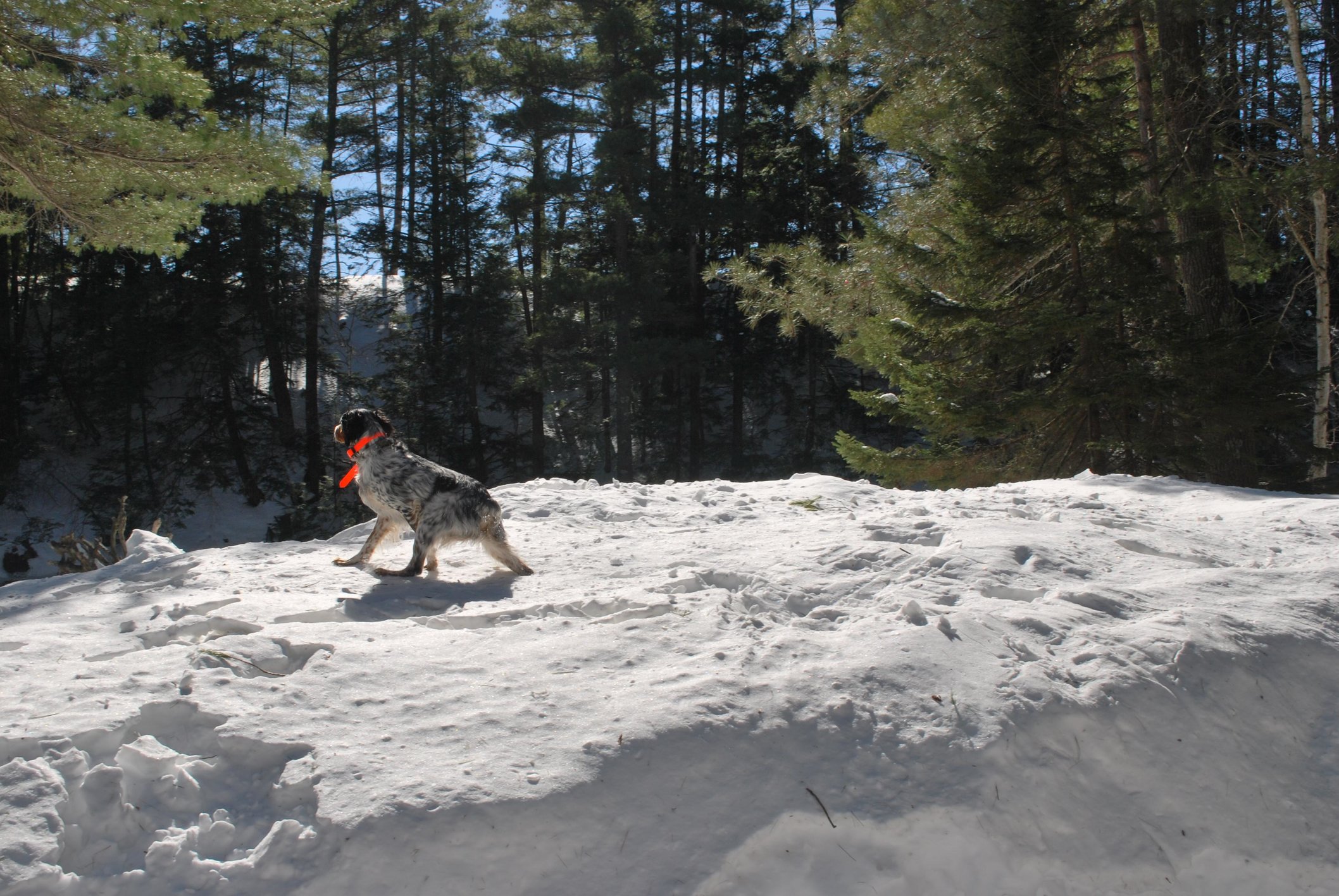 Image: https://us.v-cdn.net/5017260/uploads/editor/d1/2w6mvl8ec3d7.jpg