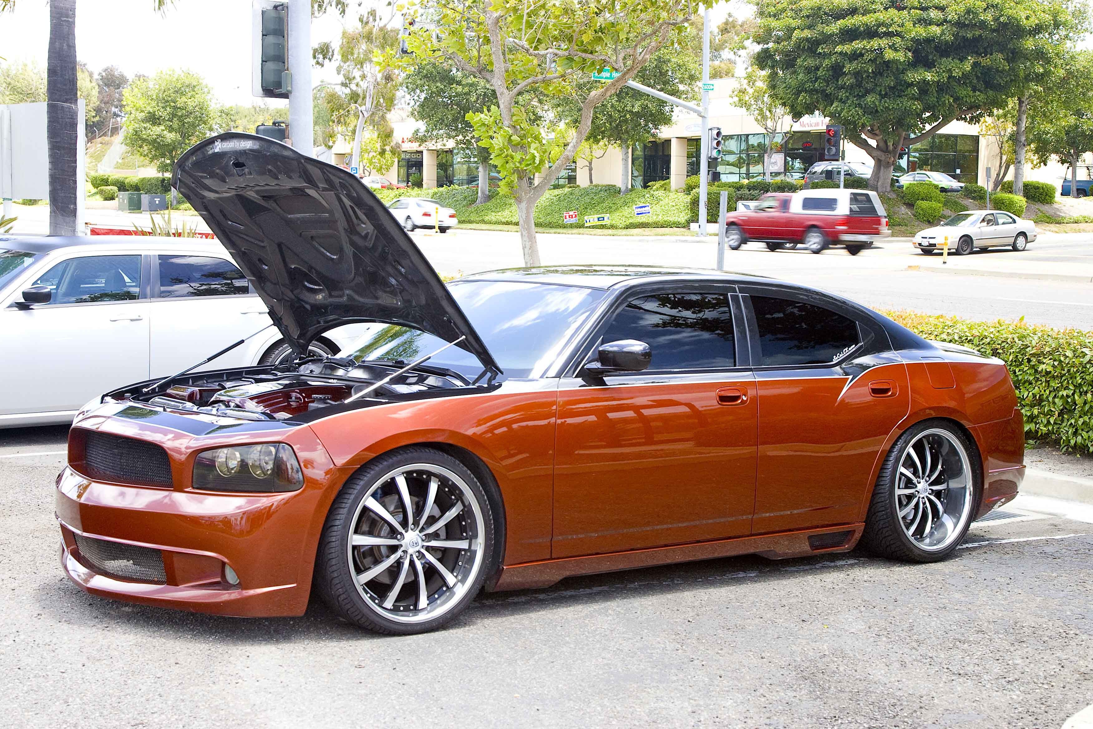 Image: https://us.v-cdn.net/5017260/uploads/editor/da/7ntg8alzhnzs.jpg