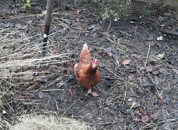 Image: https://us.v-cdn.net/5017260/uploads/editor/db/p7gqdqqo57gz.jpg