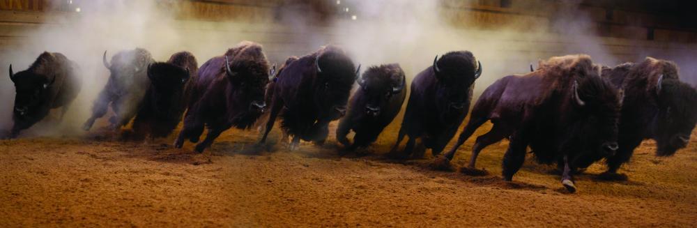 Image: https://us.v-cdn.net/5017260/uploads/editor/dm/sgg99u6mcylj.jpg