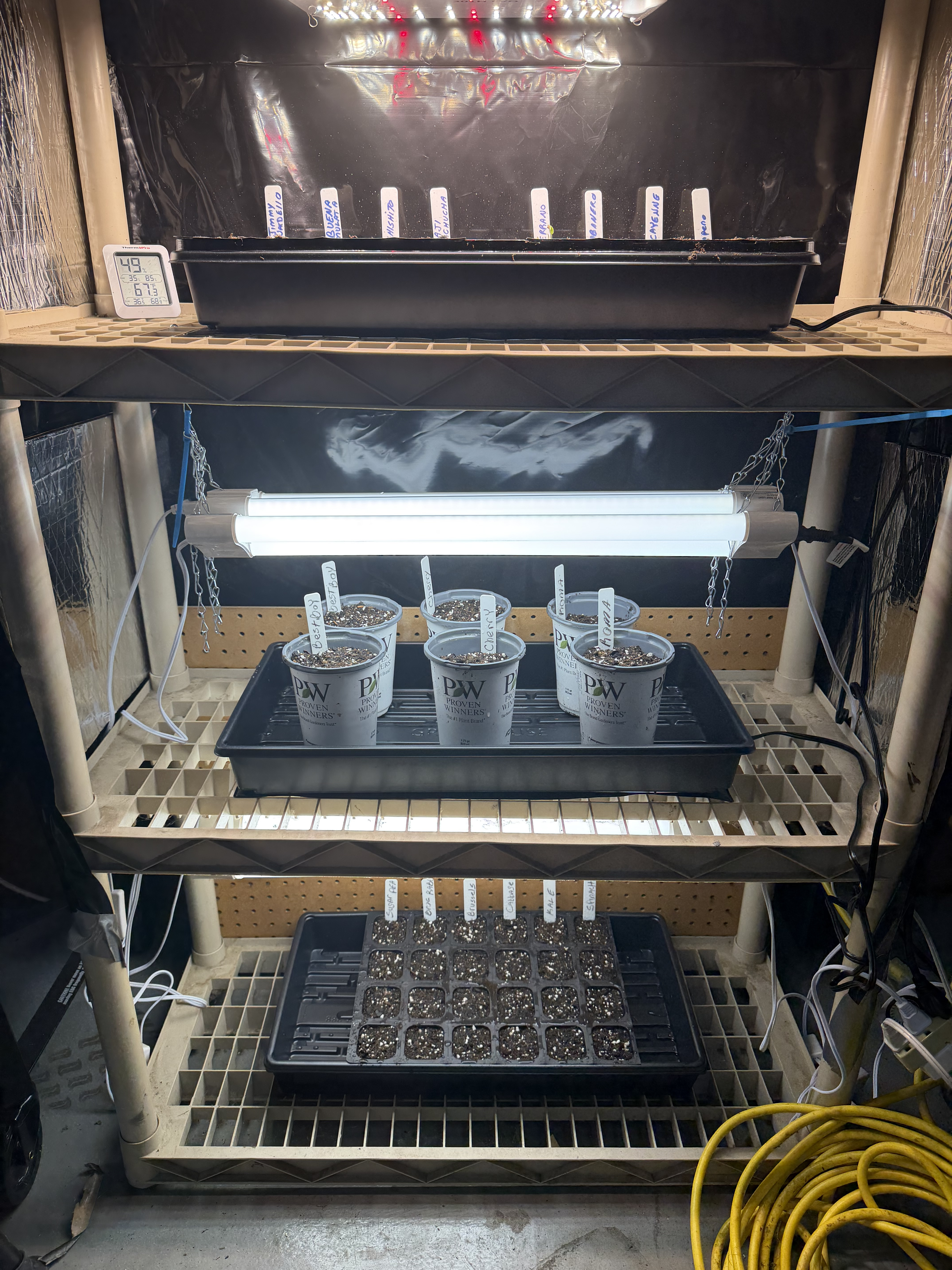 Image: https://us.v-cdn.net/5017260/uploads/editor/du/g8zupbxjbecn.jpeg