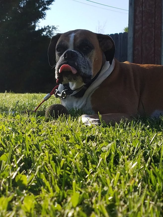 Image: https://us.v-cdn.net/5017260/uploads/editor/ea/ey7ufy688tlg.jpg