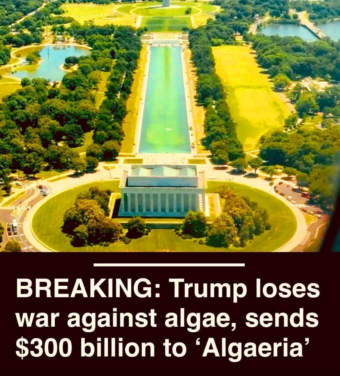Image: https://us.v-cdn.net/5017260/uploads/editor/ev/1lq68sk3u7b9.jpeg