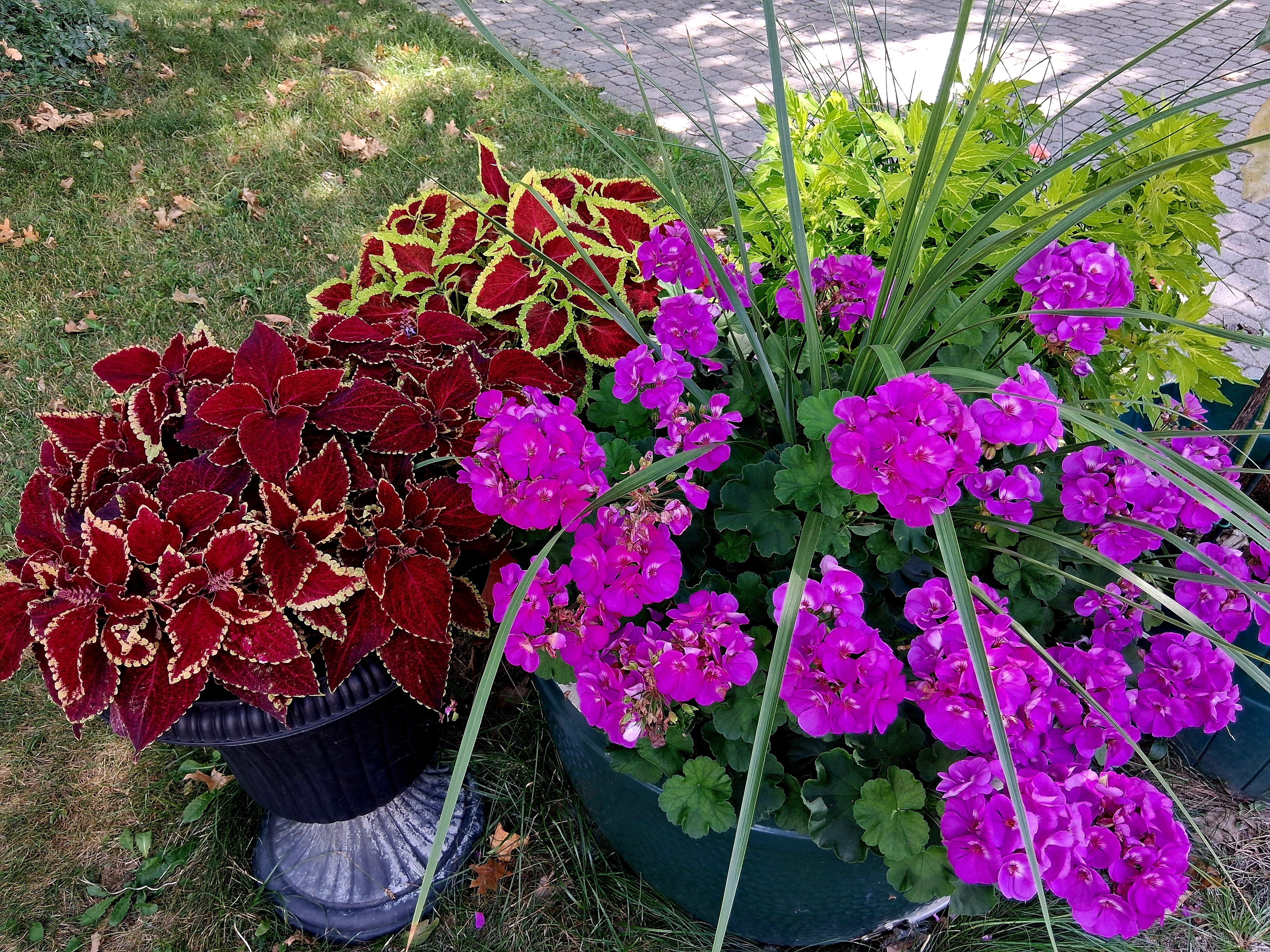 Image: https://us.v-cdn.net/5017260/uploads/editor/ez/9rrtv91nb2co.jpg