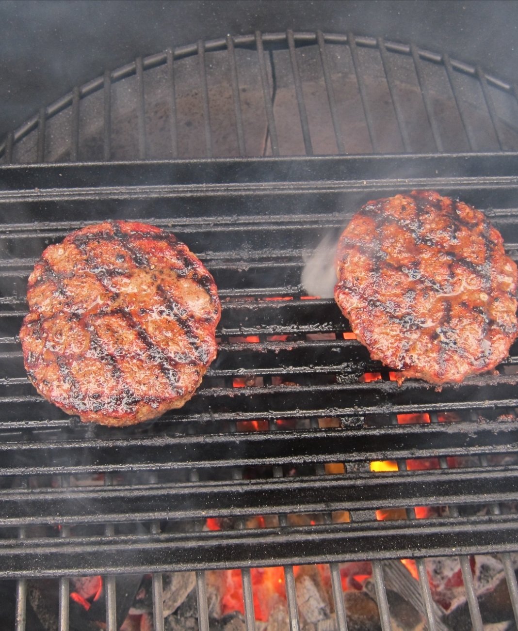 Alternative grates? — Big Green Egg Forum