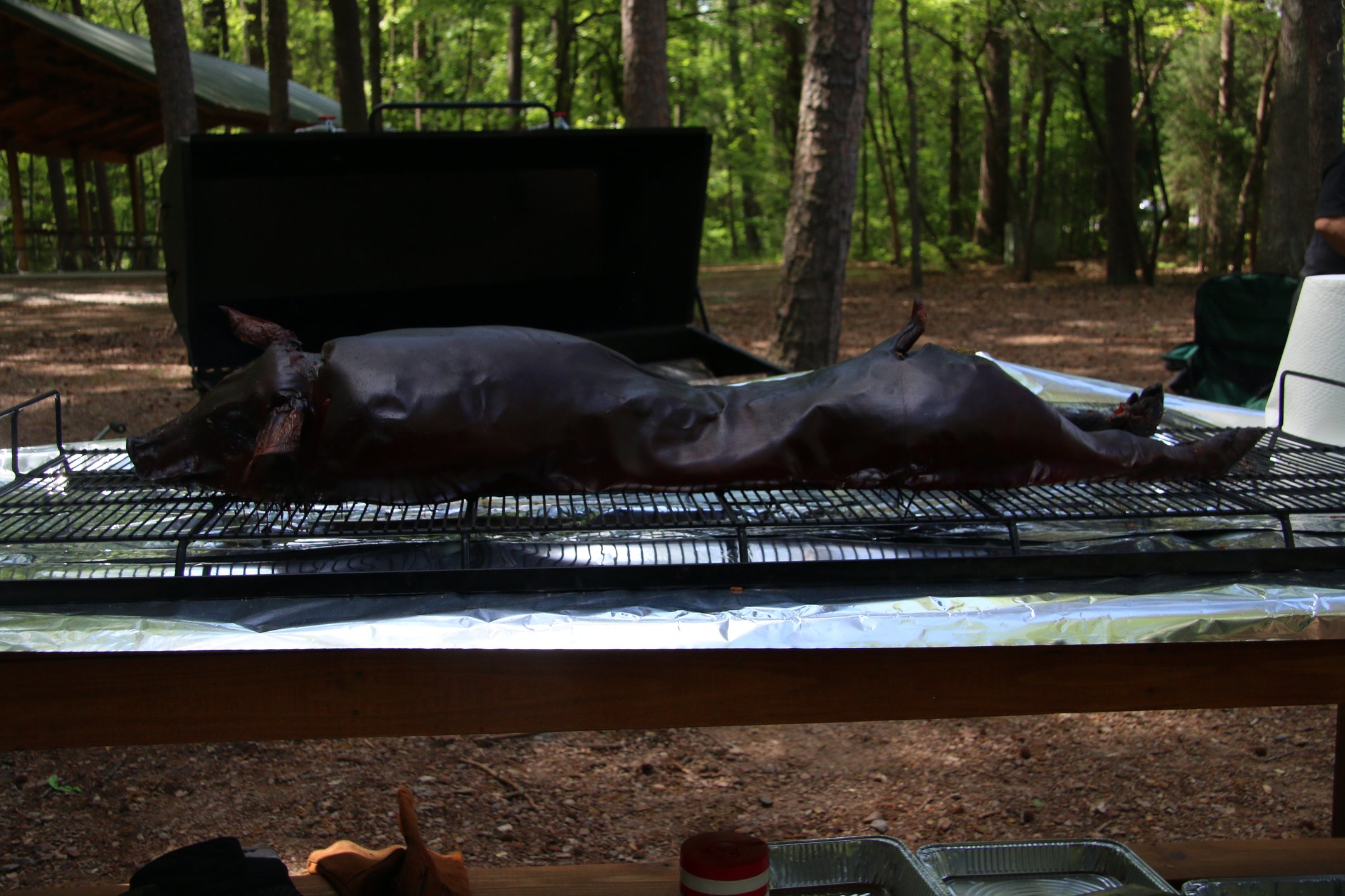 Image: https://us.v-cdn.net/5017260/uploads/editor/f7/ii3mlhctuxpv.jpg