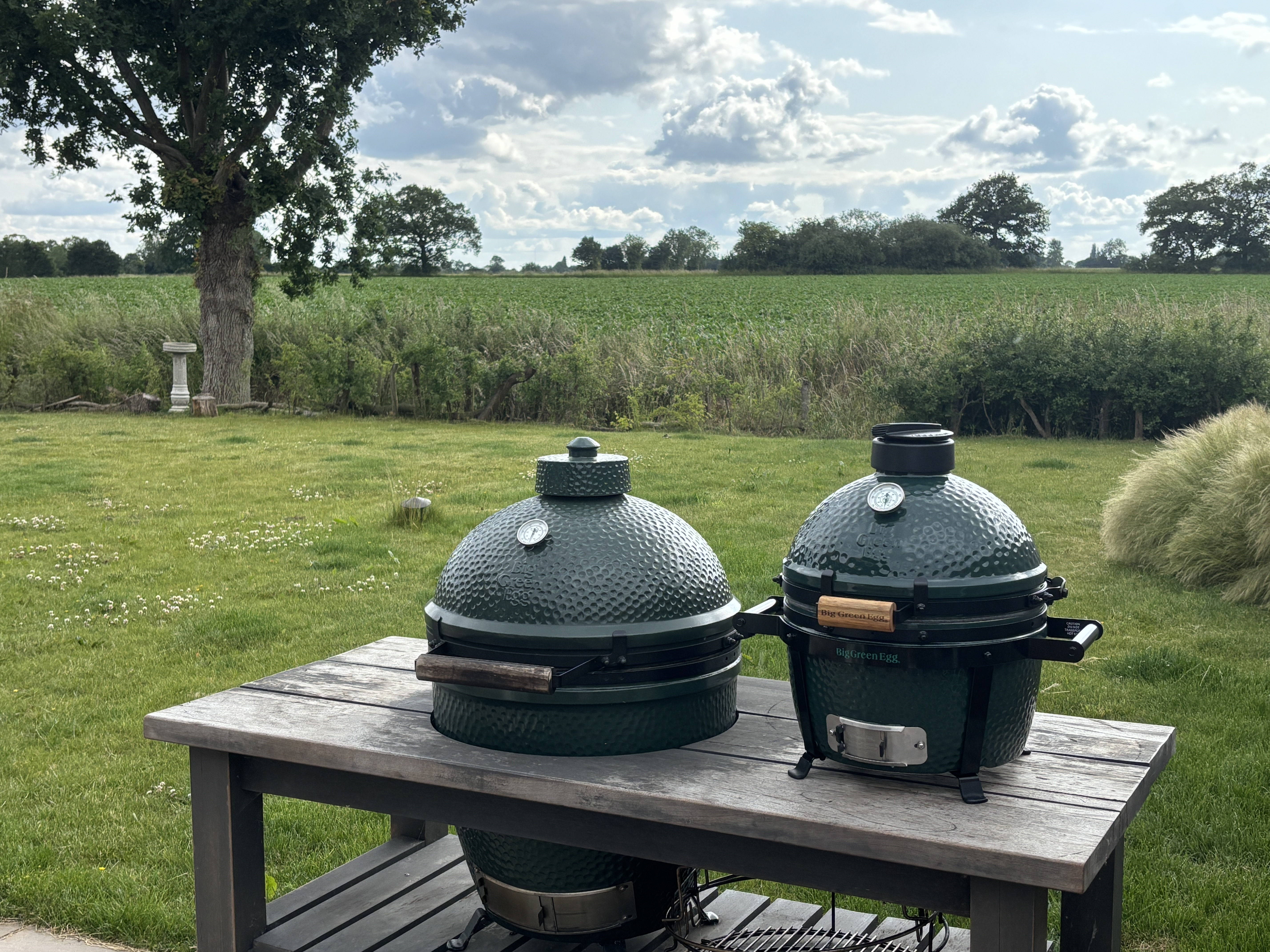 Image: https://us.v-cdn.net/5017260/uploads/editor/fi/opooxi2inqbx.jpeg