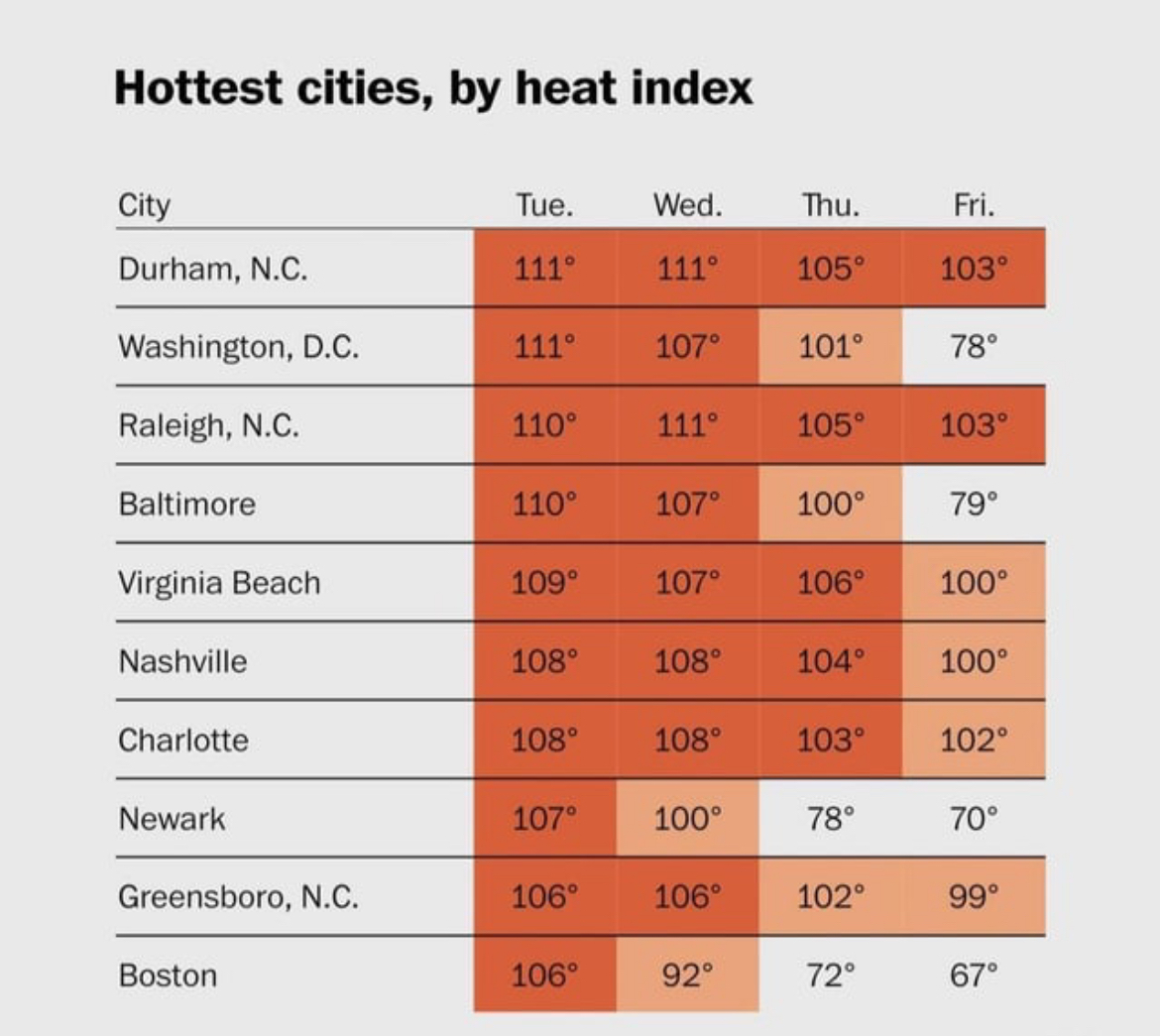 Image: https://us.v-cdn.net/5017260/uploads/editor/fm/gkhtzb4xn81e.jpeg