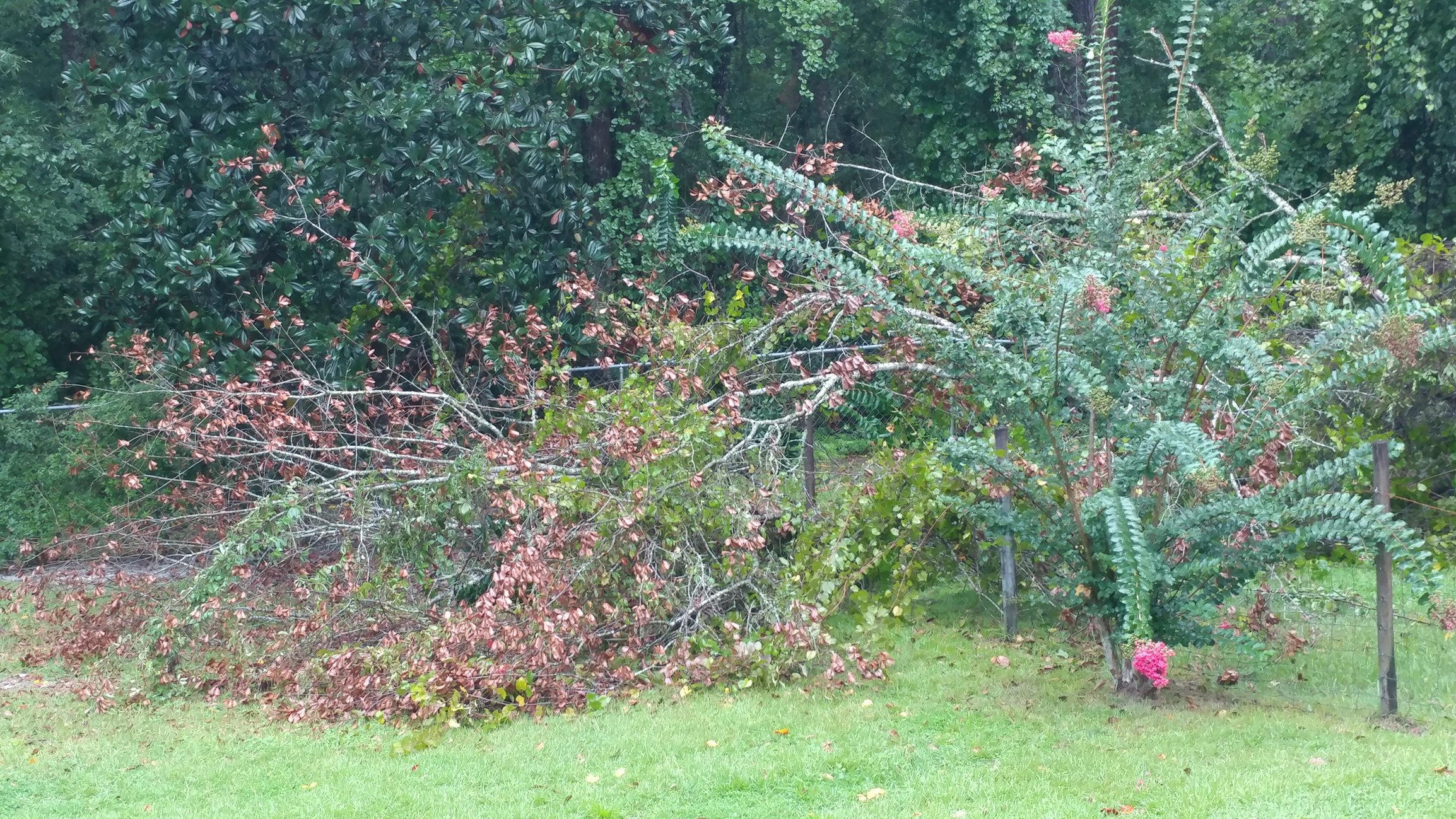 Image: https://us.v-cdn.net/5017260/uploads/editor/fy/o9pr1hhxz9df.jpg