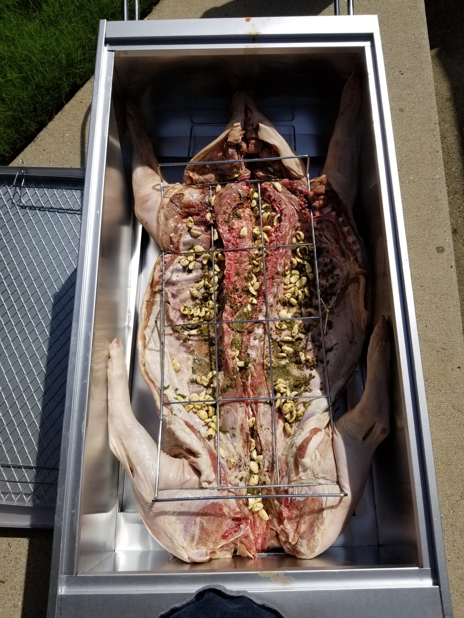 Image: https://us.v-cdn.net/5017260/uploads/editor/g3/y4lhioio5o11.jpg