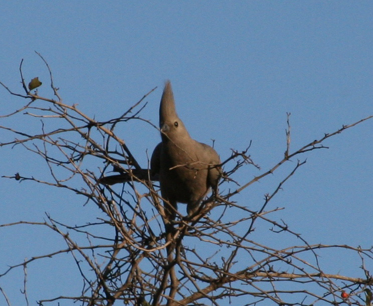 Image: https://us.v-cdn.net/5017260/uploads/editor/gl/6757ficdxs02.jpg