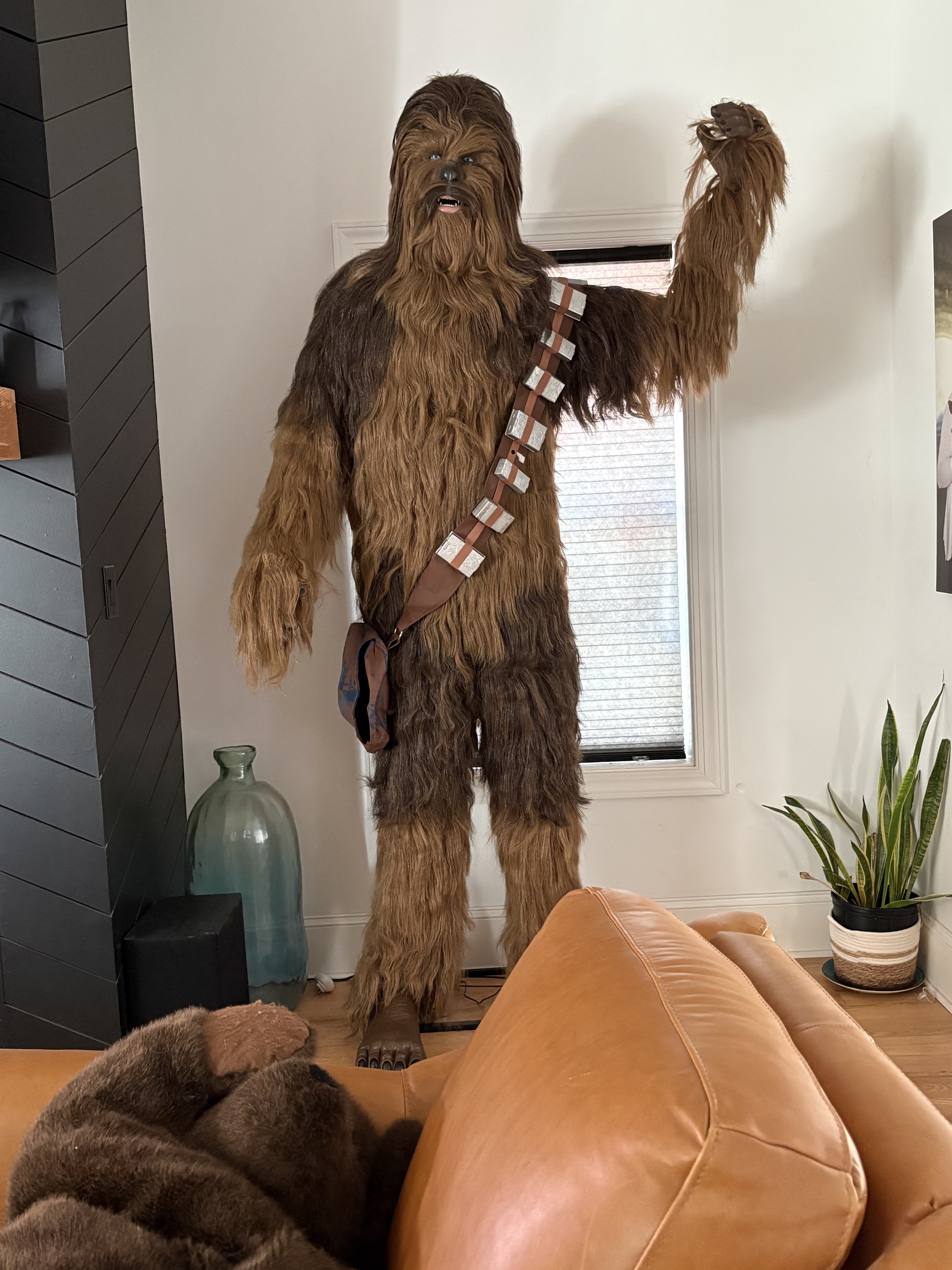 Image: https://us.v-cdn.net/5017260/uploads/editor/gs/fnosqwh9yq2l.jpeg