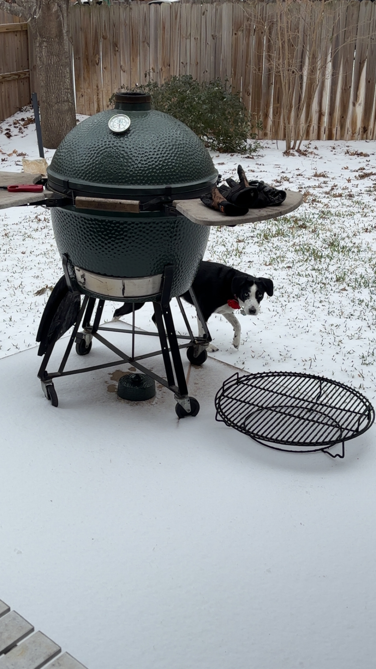 Image: https://us.v-cdn.net/5017260/uploads/editor/hj/q25ihfuc0zc8.jpg