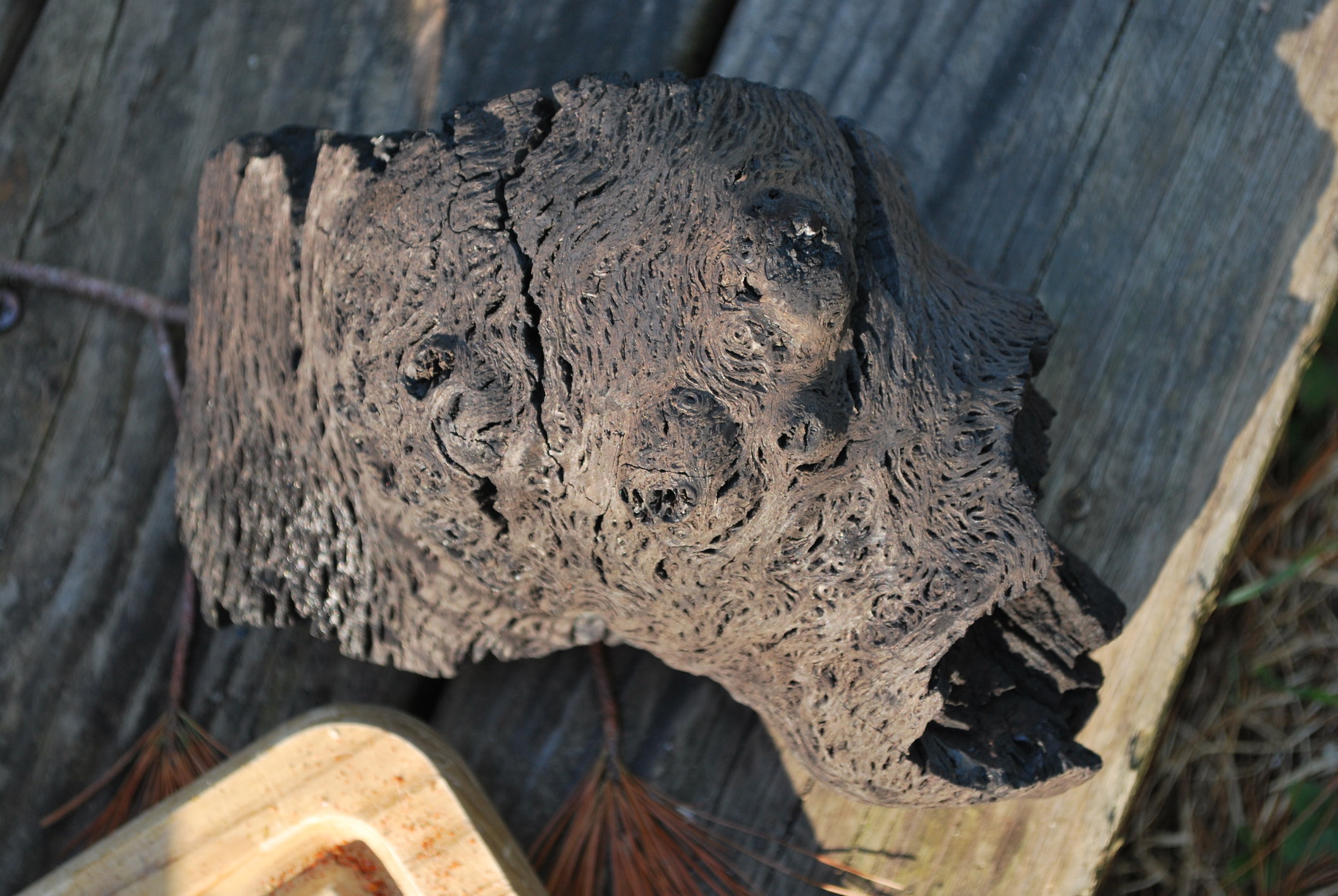 Image: https://us.v-cdn.net/5017260/uploads/editor/hv/aoc5b1hz7urx.jpg