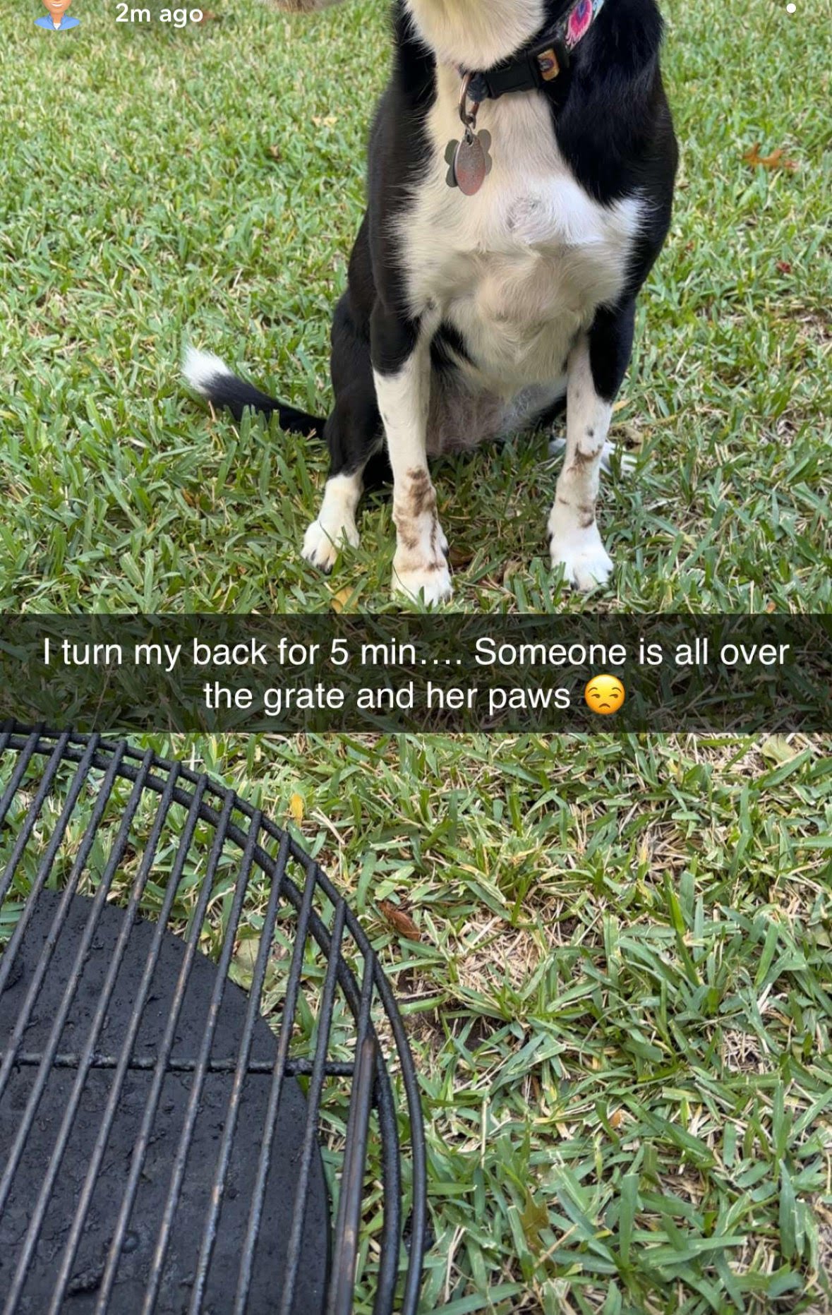 Image: https://us.v-cdn.net/5017260/uploads/editor/hz/gkc70ygqdljv.jpg