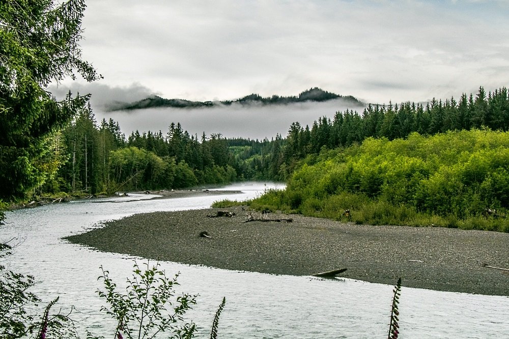 Image: https://us.v-cdn.net/5017260/uploads/editor/i1/x8i0568aloze.jpg