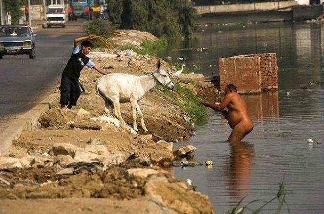 Image: https://us.v-cdn.net/5017260/uploads/editor/i4/y9oe2uofmvms.jpg