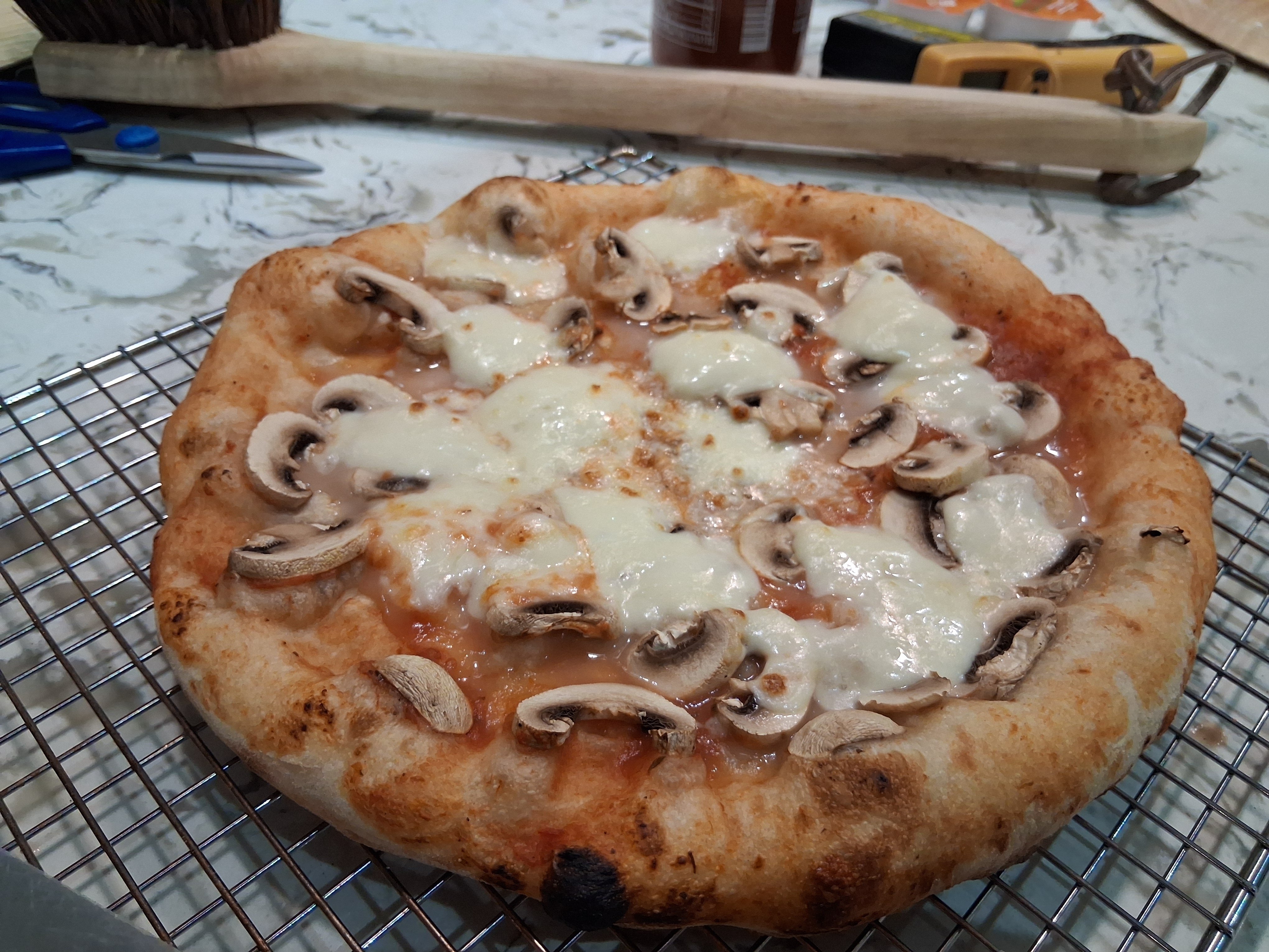 Image: https://us.v-cdn.net/5017260/uploads/editor/ie/bzpjzl77ubqf.jpg