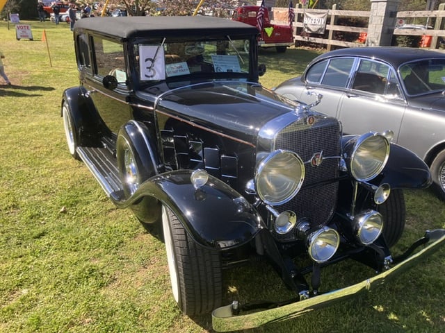 Image: https://us.v-cdn.net/5017260/uploads/editor/ij/9tdzwvd0dimt.jpeg