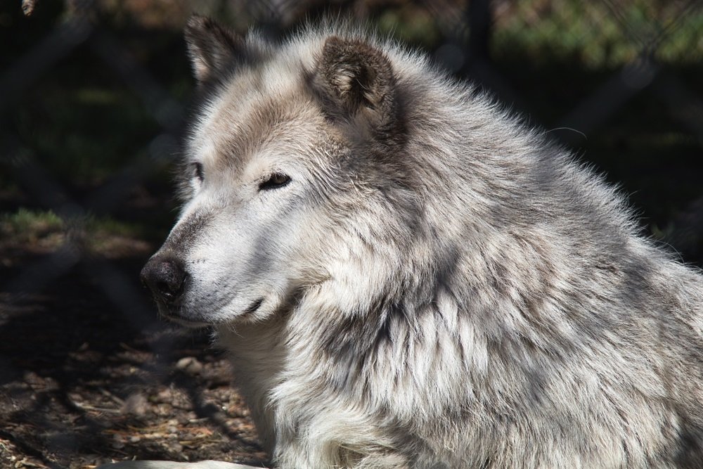 Image: https://us.v-cdn.net/5017260/uploads/editor/il/iktpih6m23a3.jpg