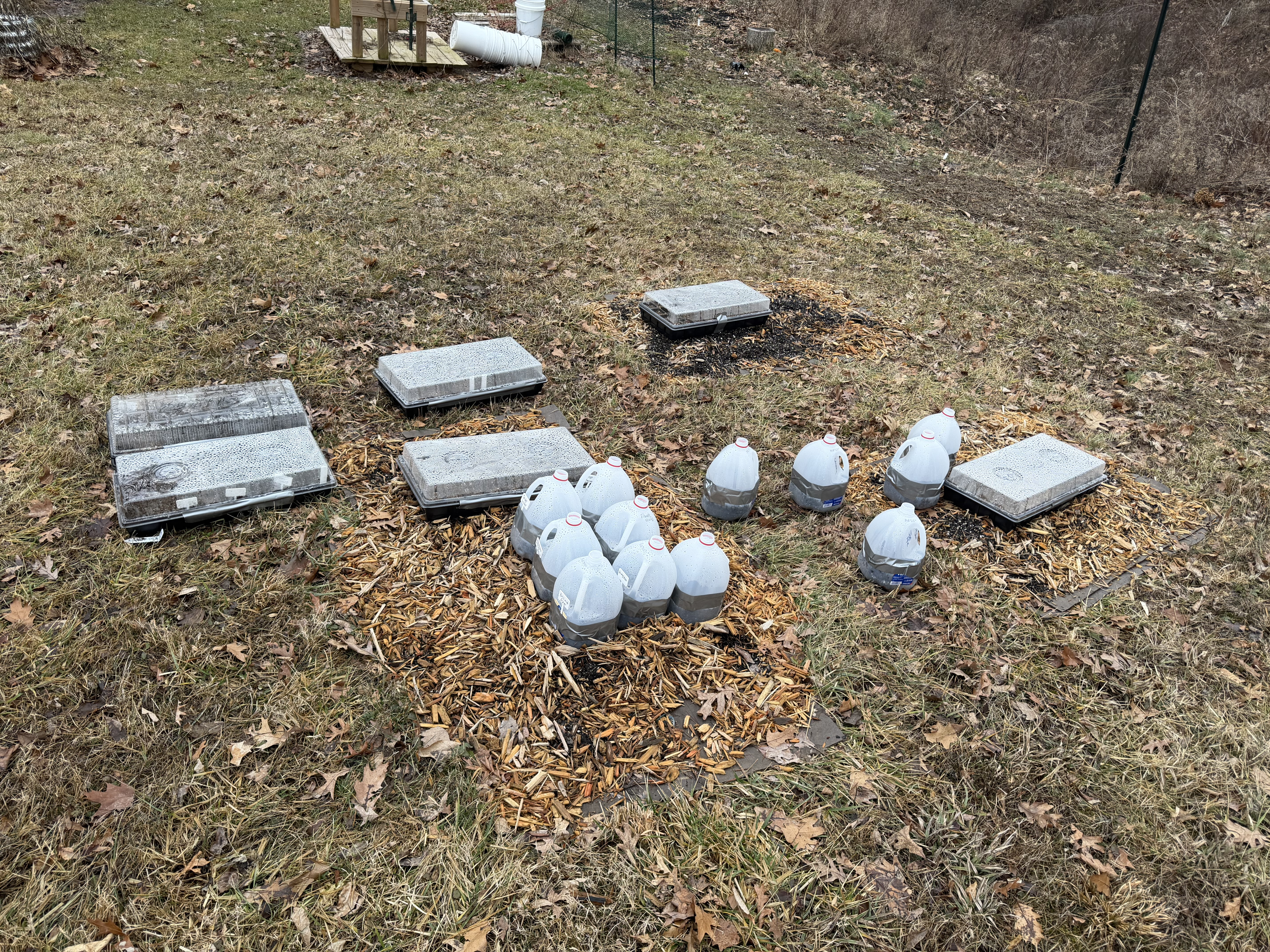 Image: https://us.v-cdn.net/5017260/uploads/editor/iv/u68qzp0nlsb4.jpeg