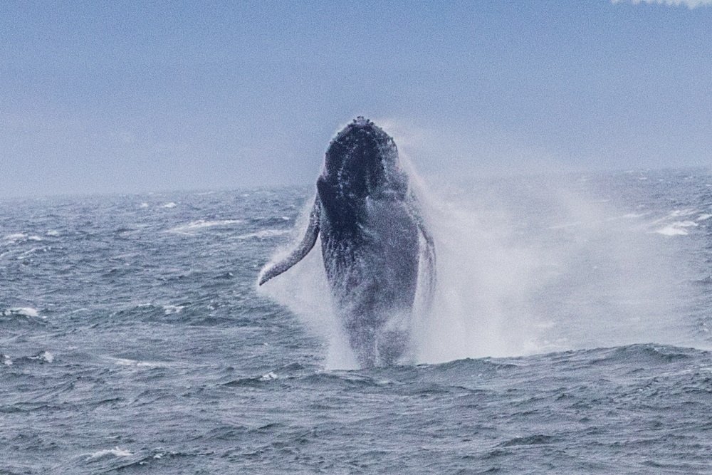 Image: https://us.v-cdn.net/5017260/uploads/editor/j3/l69yzvogn06p.jpg